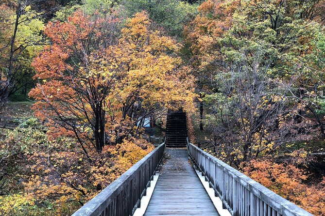 Sounkyo Gorge Autumn Leaves Ice Pavilion Day Tour by Private Car - Experiencing the Ice Pavilion