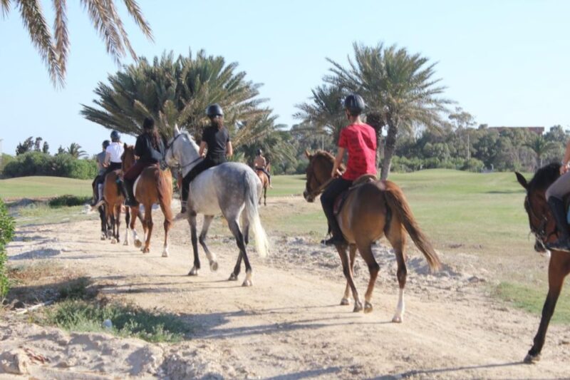 Sousse/Monastir: Private Horseback Riding Trip With Transfer - Key Points