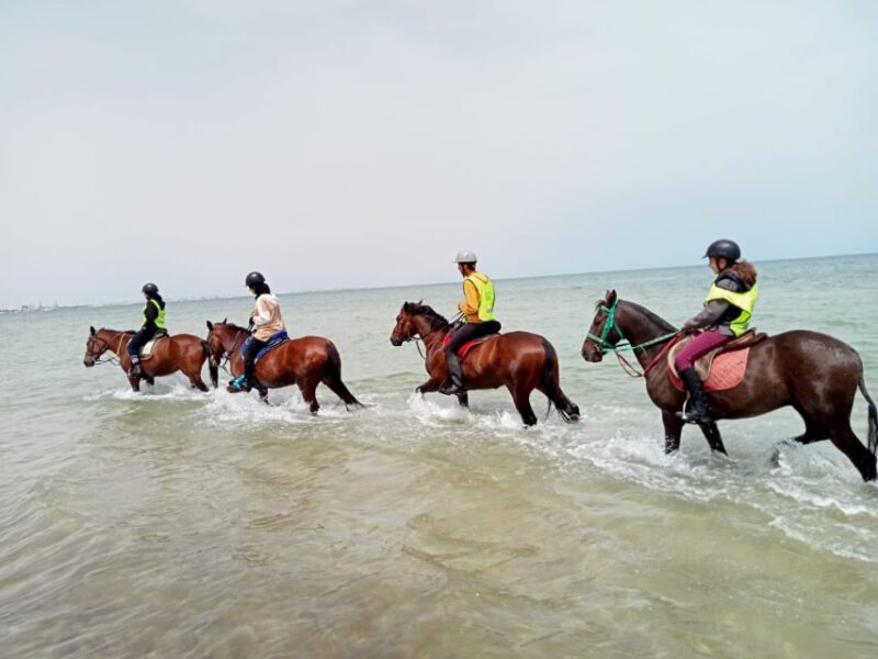 Sousse/Monastir: Private Horseback Riding Trip With Transfer - Tour Details and Requirements