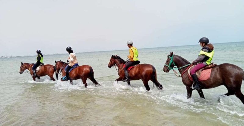 Sousse/Monastir: Private Horseback Riding Trip With Transfer - Itinerary Breakdown