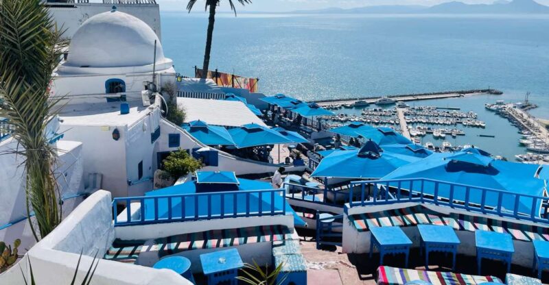 Sousse: Sidi Bousaid, Carthage, Medina of Tunis Daytrip - Sidi Bousaid Experience