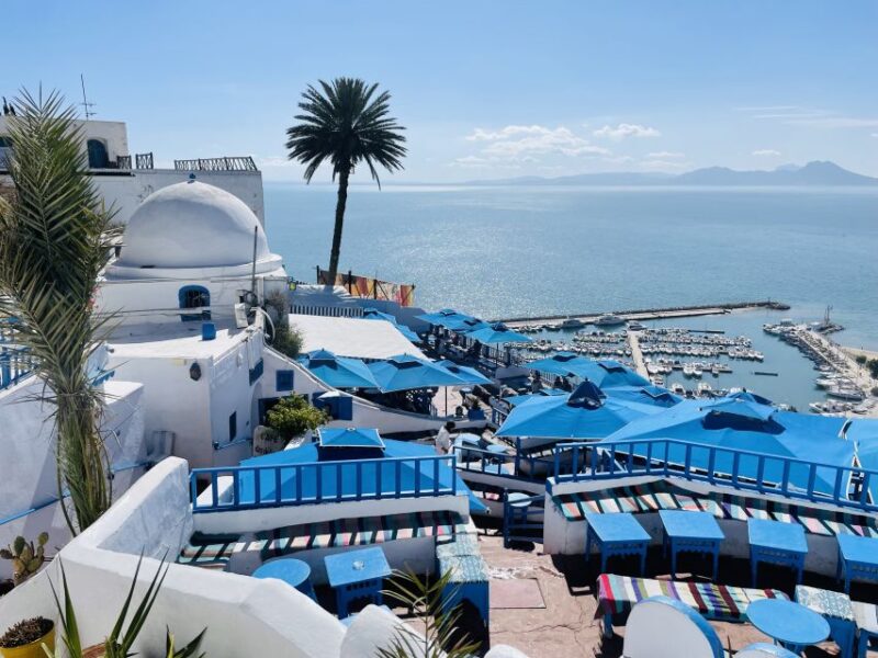 Sousse: Sidi Bousaid, Carthage, Medina of Tunis Daytrip - Discovering Medina of Tunis