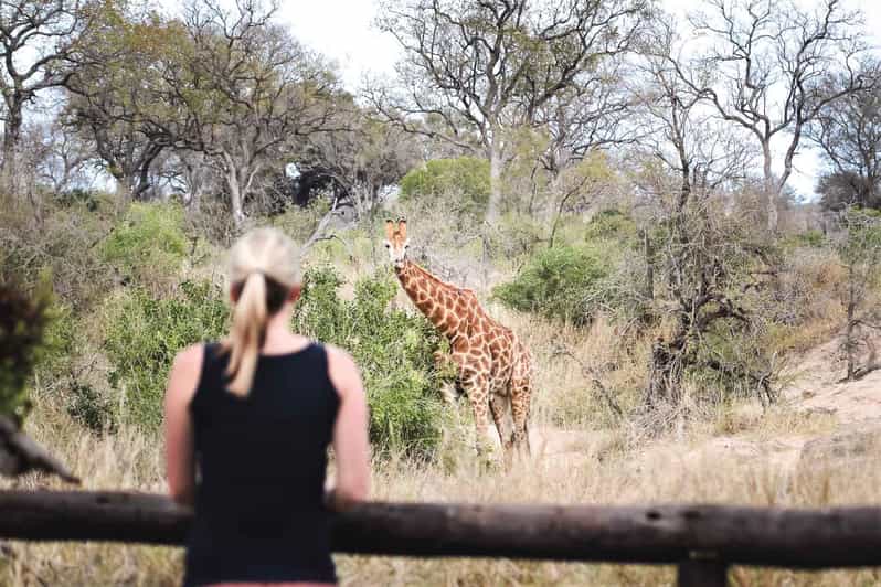 South Africa: 8-Day Womens Safari in Greater Kruger - Key Points