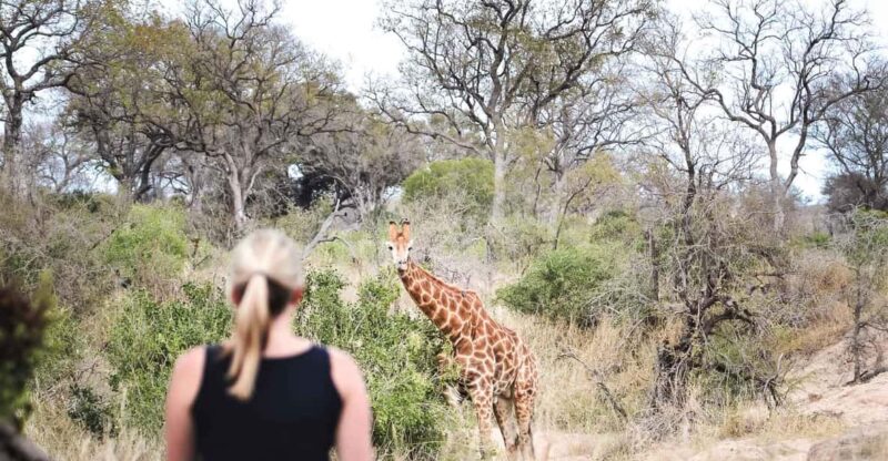 South Africa: 8-Day Womens Safari in Greater Kruger - Itinerary Highlights