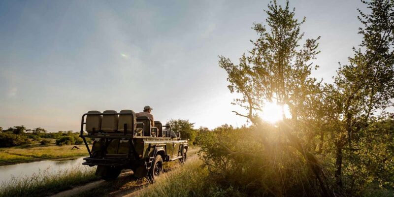 South Africa: 8-Day Womens Safari in Greater Kruger - Accommodation and Meals