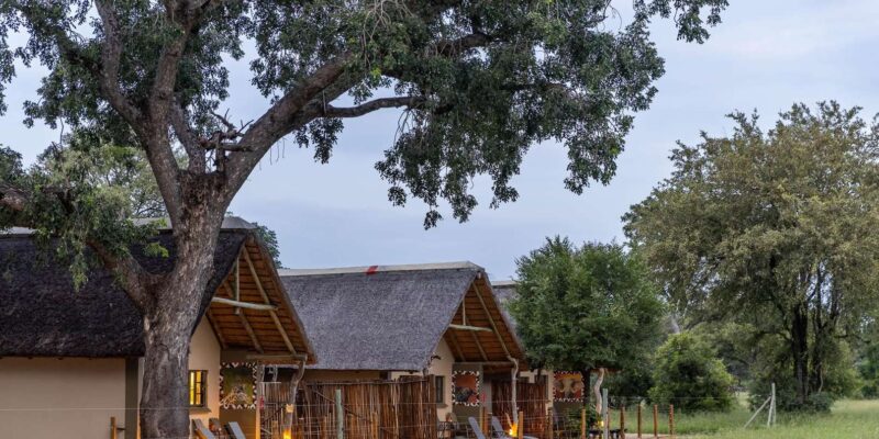 South Africa: 8-Day Womens Safari in Greater Kruger - Safari Activities