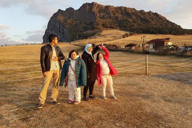 South and West Jeju Island Private Tour With Lunch in Jeju Island - Accessibility and Accommodations