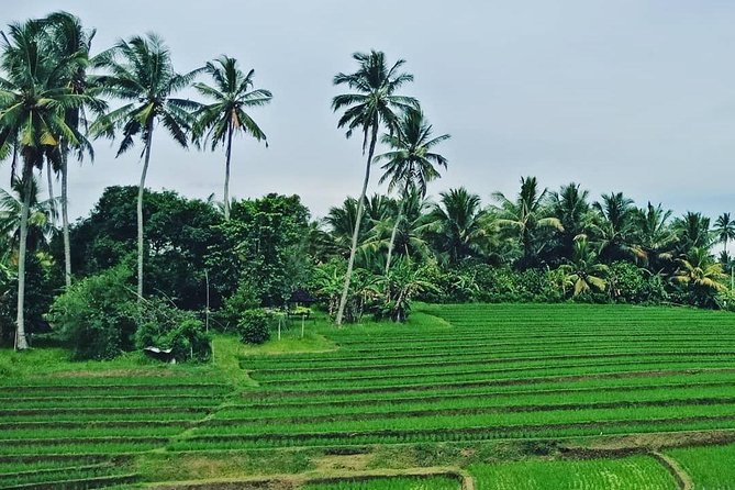 South Bali Uluwatu and Tanah Lot Temple Tour - Pickup Information