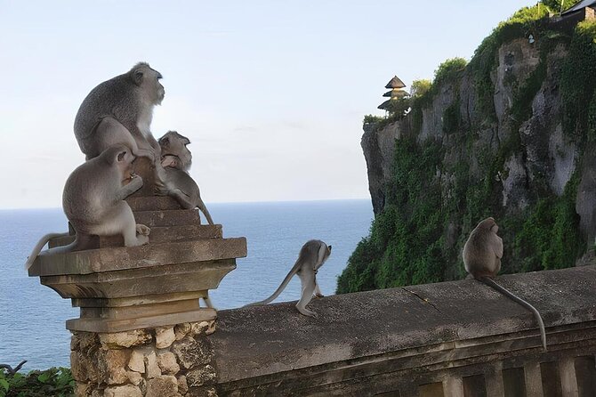 South Bali Uluwatu Temple Sun-Set Private Full Day Tour - Inclusions