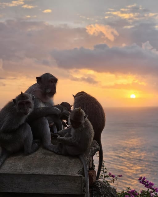 South Bali: Uluwatu Temple, Tanah Barak Cliff, Melasti Beach - Reservation and Cancellation