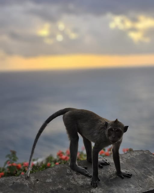 South Bali: Uluwatu Temple, Tanah Barak Cliff, Melasti Beach - Frequently Asked Questions