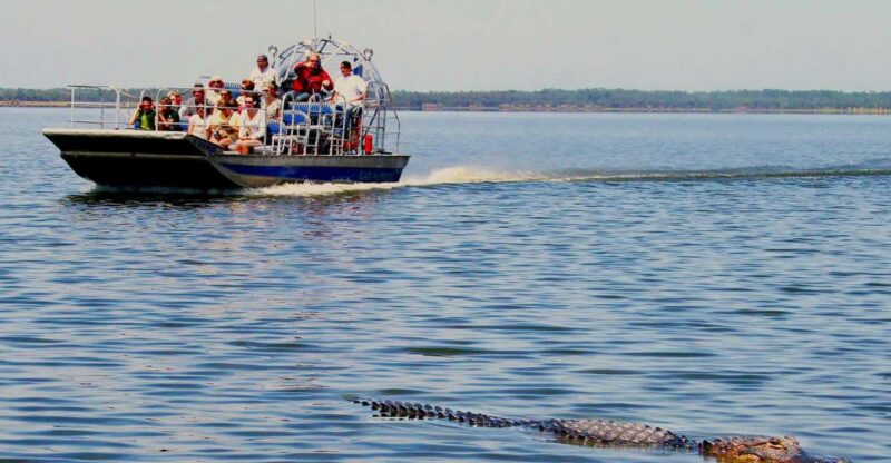 South Beach: Everglades Wildlife Airboat Tour - Departure and Return Information