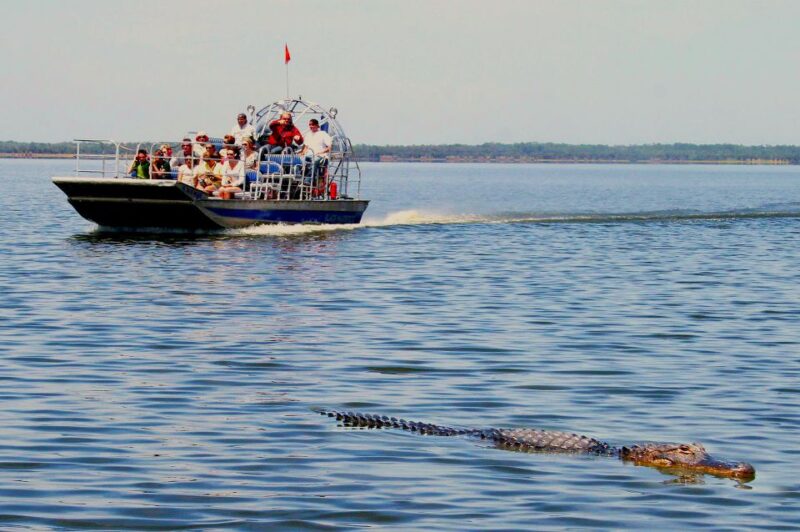 South Beach: Everglades Wildlife Airboat Tour - Safety and Accessibility