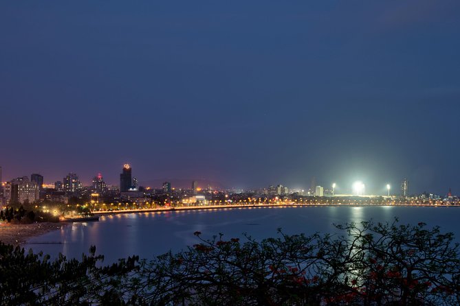 South Bombay Pub Crawl - Immerse Yourself in Local Nightlife