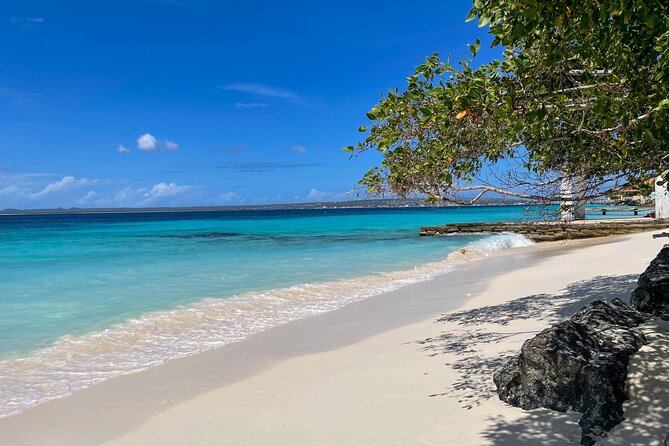 South Bonaire Private Island Tour - Traveler Reviews and Feedback