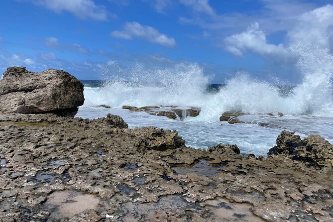 South Bonaire Private Island Tour - Personalized and Guided Tour Experience