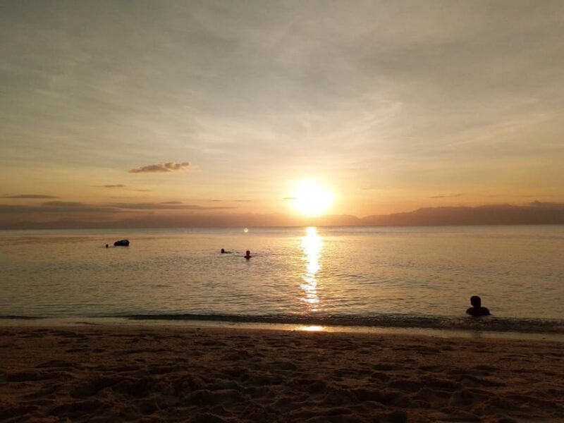 South Cebu: Sardines Run and Optional Canyoneering Adventure - Itinerary Details