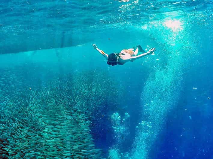 South Cebu: Sardines Run and Optional Canyoneering Adventure - Highlights of the Experience