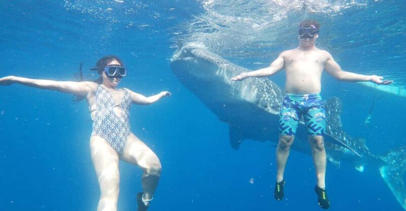 South Cebu:Oslob Whale Sharks & Inambakan Falls Journey - Included Services