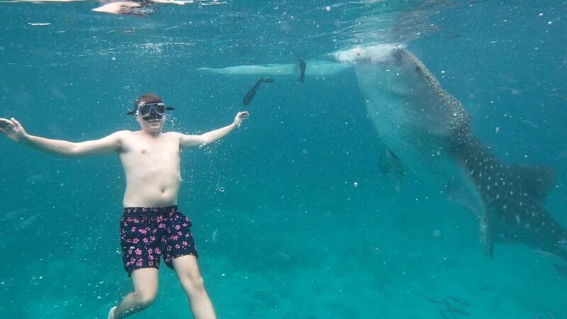 South Cebu:Oslob Whale Sharks & Inambakan Falls Journey - Recommendations and Requirements