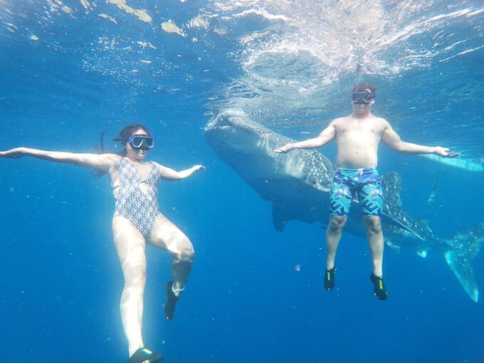 South Cebu:Oslob Whale Sharks & Inambakan Falls Journey - Meeting Locations and Pickup Times