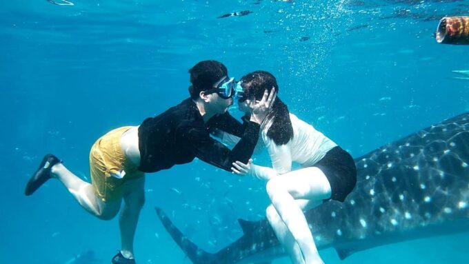 South Cebu:Oslob Whale Sharks & Inambakan Falls Journey - Whale Shark Viewing Experience