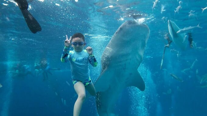 South Cebu:Oslob Whale Sharks & Inambakan Falls Journey - Exploring Inambakan Falls