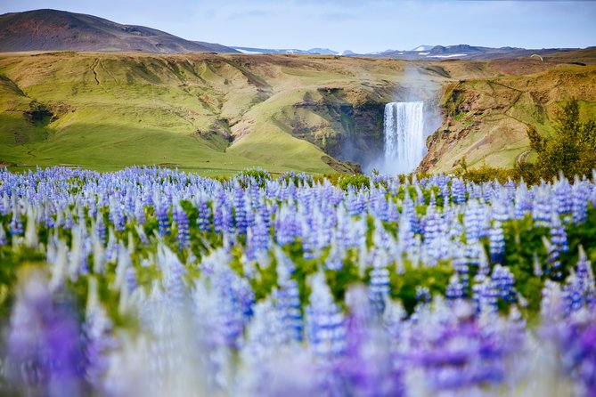 South Coast Classic Day Trip From Reykjavik With Guide and Touchscreen Audio - Vestmannaeyjar Islands