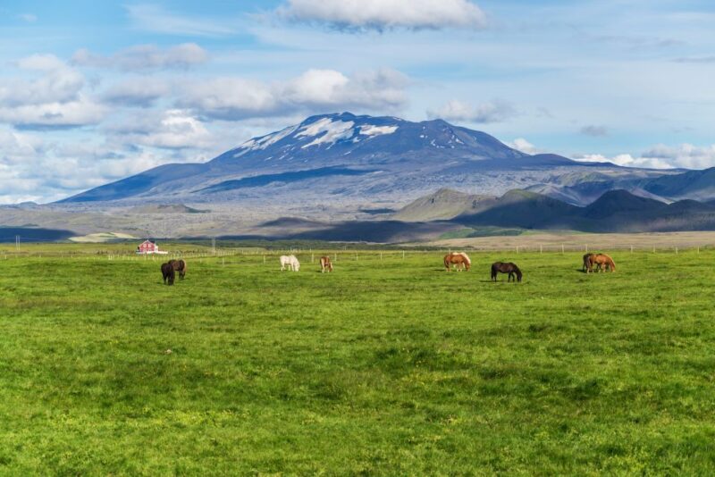 South Coast Classic: Full-Day Tour From Reykjavik - Key Points