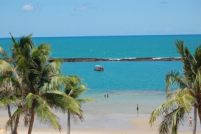 South Coast (French or Barra De São Miguel and Gunga)(Gte Tours) - Itinerary Details