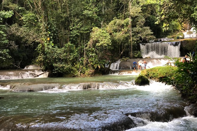 South Coast Jamaica YS Falls Tour - Accessibility and Participation