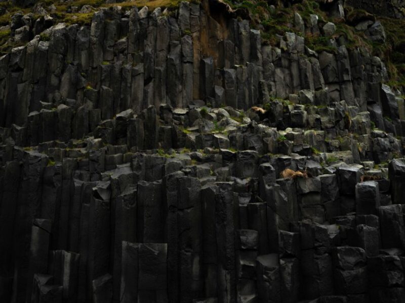 South Coast of Iceland: Private Tour - Vík Village