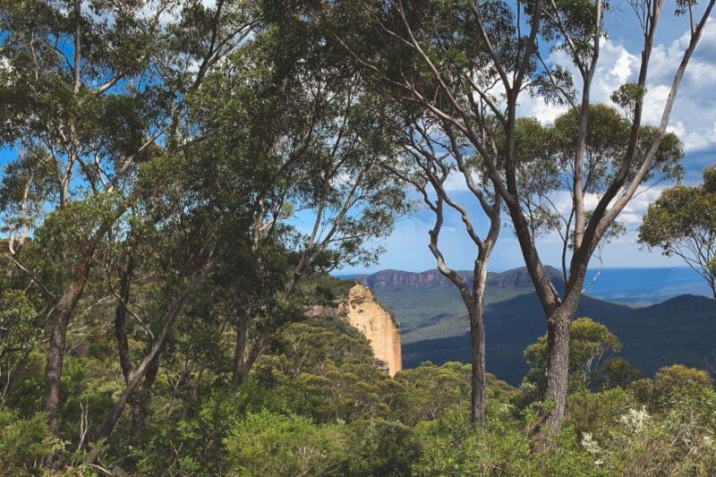 South Coast Private Charter - Taste Wines in the Southern Highlands