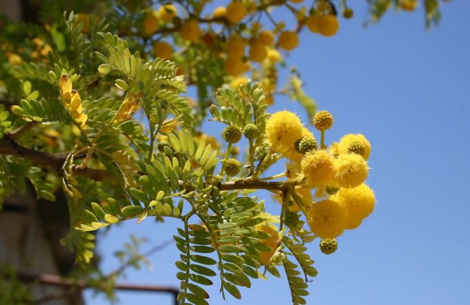 South Coast Private Nature Walking Tour With Transport - Tour Recommendations