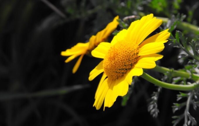 South Coast Private Nature Walking Tour With Transport - Frequently Asked Questions
