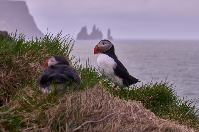 South Coast Private Tour Iceland - Itinerary
