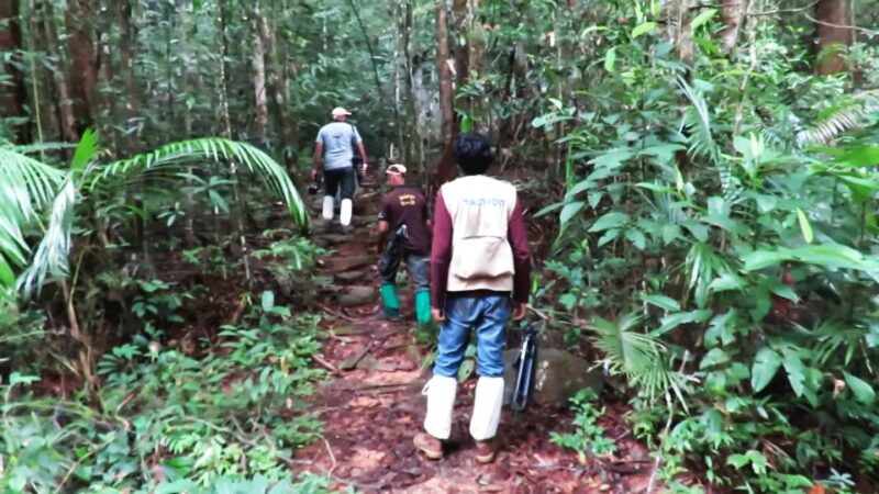 South Coast Wild Wonders Sinharaja, Yala, River Safari,Galle - Itinerary Details