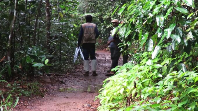South Coast Wild Wonders Sinharaja, Yala, River Safari,Galle - South Coast Beaches