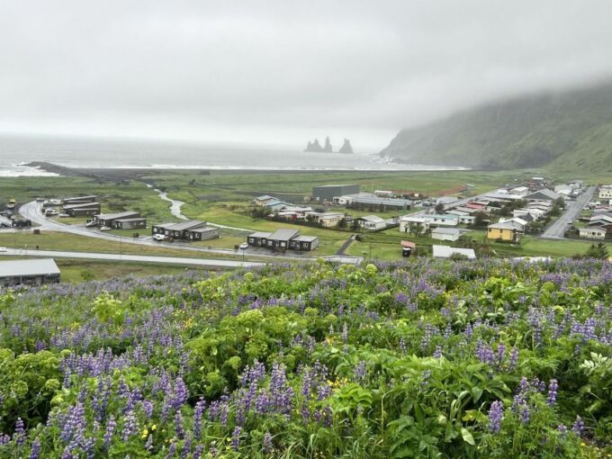 South Coast With Dyrholey Peninsula Private Tour - Recap