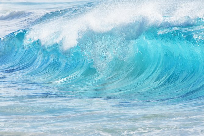 South East and Windward Oahu Private Tour - Landmarks and Highlights