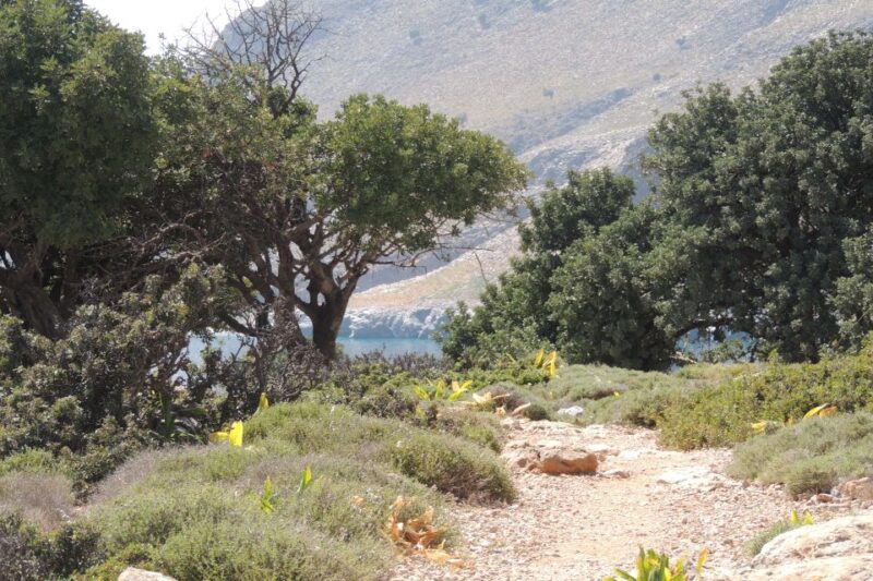 South Eastern Crete & Sarakinas Gorge Day Tour - Itinerary