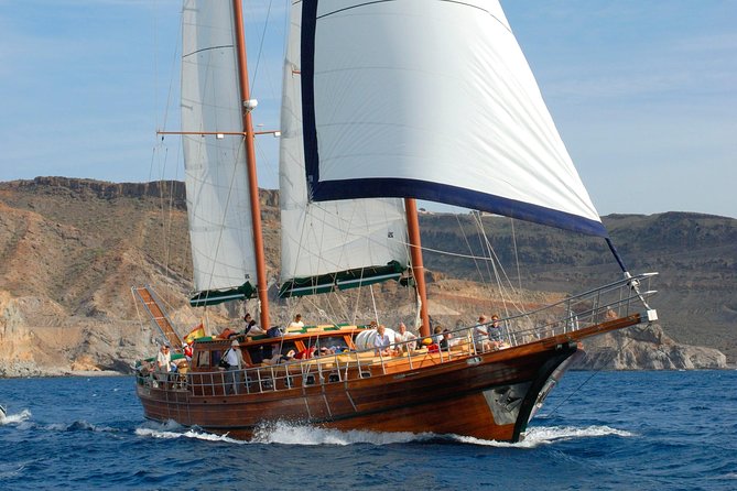 South Fuerteventura VIP Cruise on Board a Turkish Gulet - Inclusions and Amenities