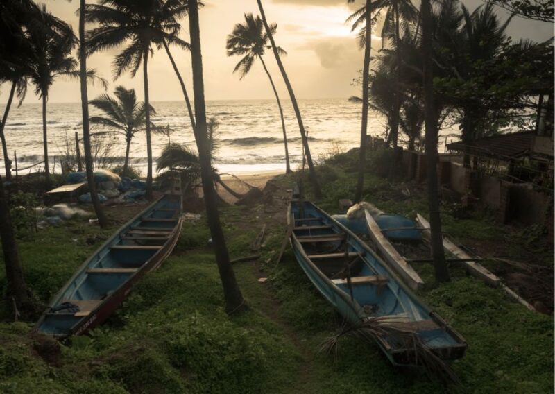 South Goa With Spice Plantation Tour Guided Day Tour by Car - Spice Plantation Tour
