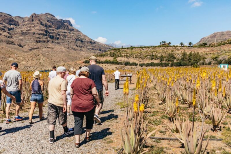 South Gran Canaria: Off-Road Valleys & Villages Jeep Tour - Highlights of the Tour