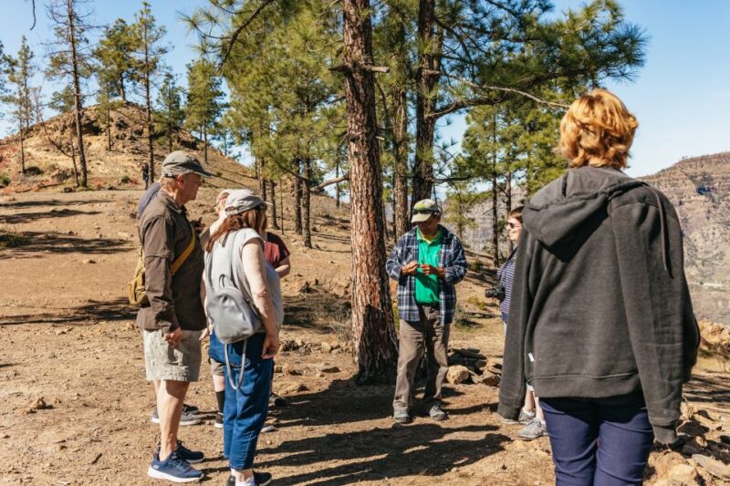 South Gran Canaria: Off-Road Valleys & Villages Jeep Tour - Scenic Drive to Lake Chira
