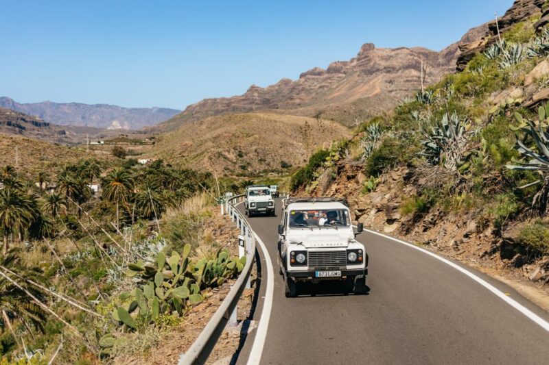 South Gran Canaria: Off-Road Valleys & Villages Jeep Tour - Exploring the Valley of the Thousand Palms