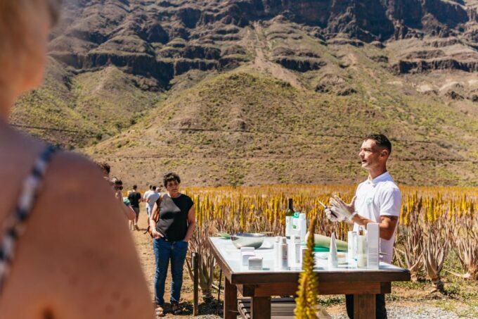 South Gran Canaria: Off-Road Valleys & Villages Jeep Tour - Final Stop at Mirador Las Moscas