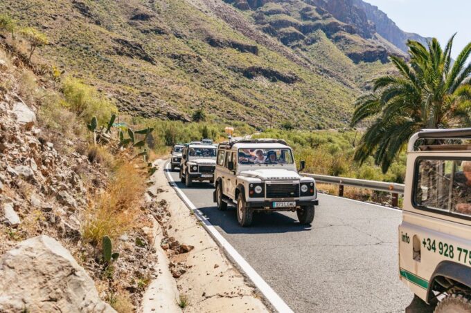 South Gran Canaria: Off-Road Valleys & Villages Jeep Tour - Inclusions for the Tour