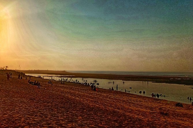 South Half Day Beach Tours - Customer Feedback