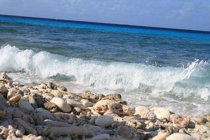 South Highlight Tour With Local Guide - Booking Your Stay